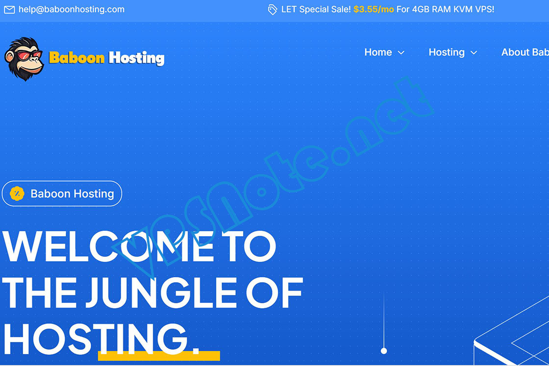 BaboonHosting - 便宜大带宽荷兰KVM VPS，5G端口，仅€2.99/月